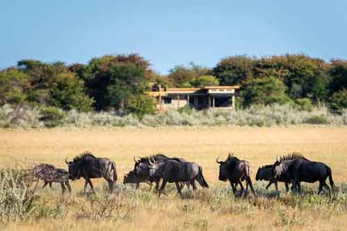 Kalahari Plains Camp - Botswana