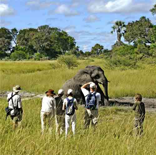 Stanley's Camp - Okavango Botswana