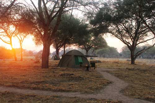Jongomero Camp - Ruaha Tanzania