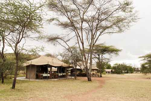 Kati Kati Camp - Serengeti Tanzania