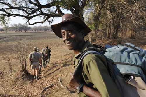Chikoko Trails - South Luangwa Zambia