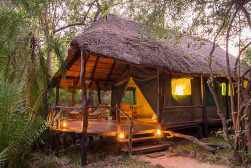 Kaingu Lodge - Kafue Zambia