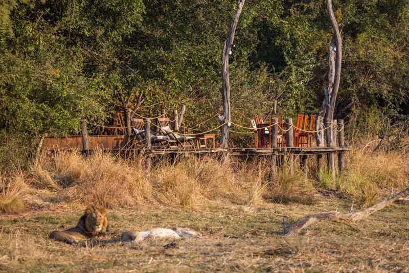 Musekese Camp - Kafue Zambia