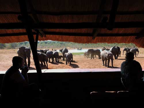 Ivory Lodge - Hwange Zimbabwe