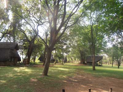 Mokore Camp - Save Valley Zimbabwe