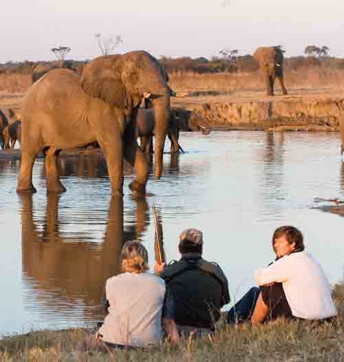 The Hide Safari Camp - Hwange Zimbabwe