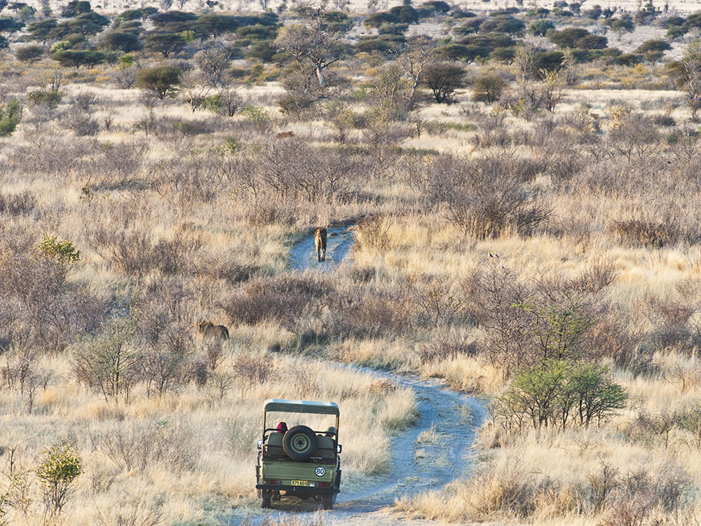 Kalahari Safari Botswana