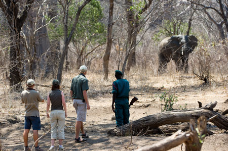 Majete Lengwe Safari Malawi