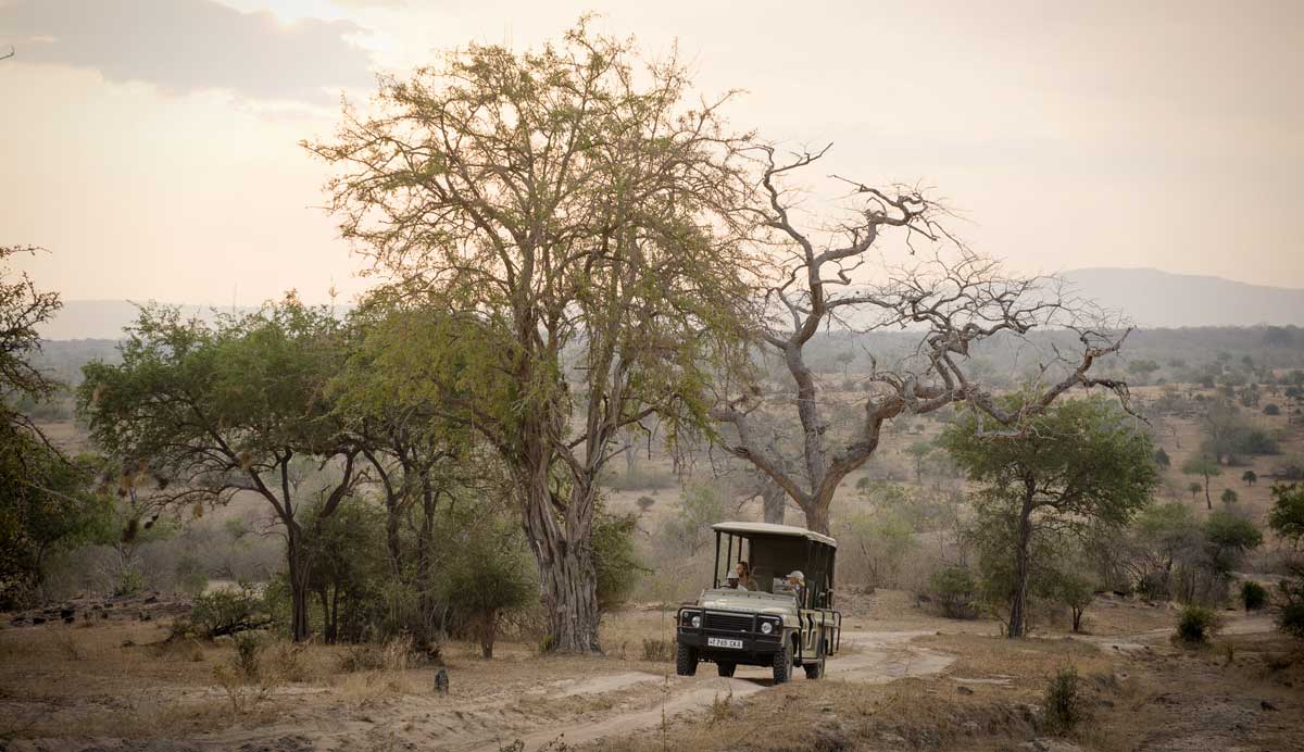 Selous safari Tanzania