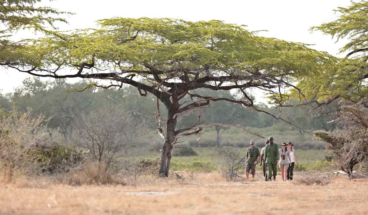 Selous safari Tanzania
