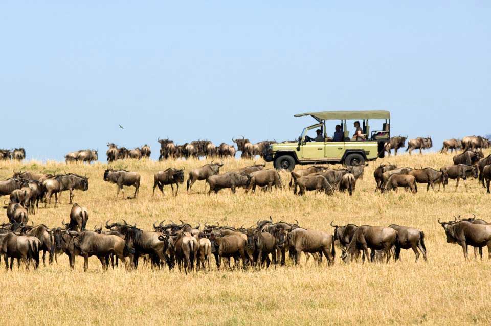 Serengeti safari Tanzania